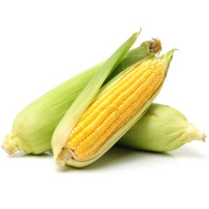Fresh Corn