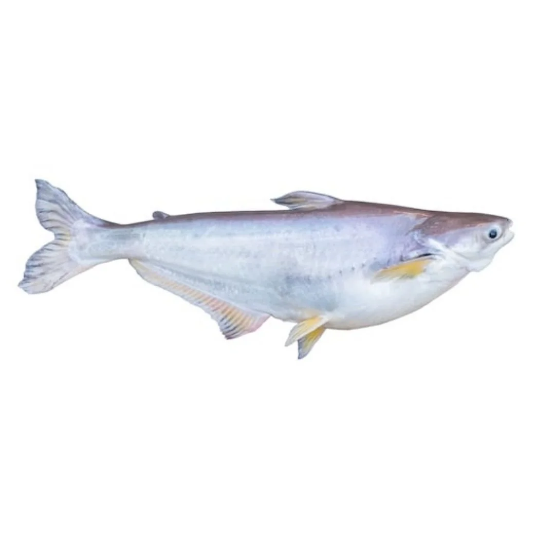 Pangasius Whole 5kg