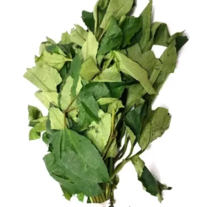 Fresh Ugu Bunch