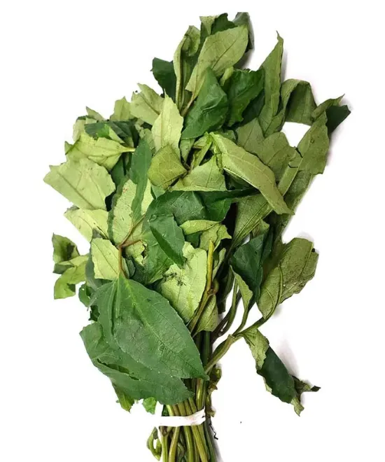 Fresh Ugu Bunch