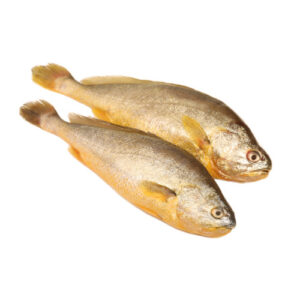 Yellow Croaker Fish 3kg